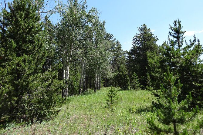 Hike the Rockies Half Day Tour - Who Might Want to Consider Alternatives
