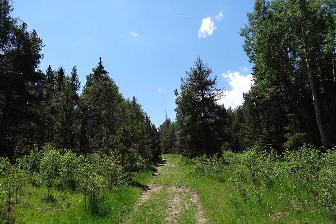 Hike the Rockies Half Day Tour - The Sum Up: A Worthwhile Mountain Escape