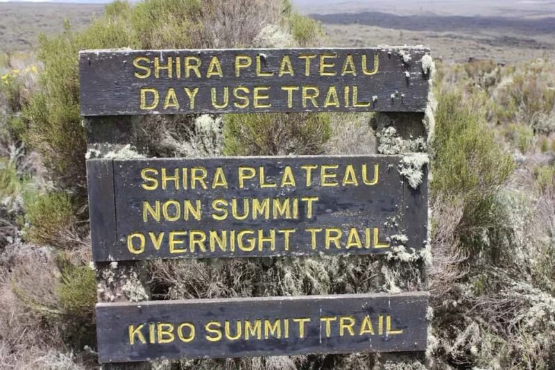 Hike to Shira Plateau on Mt. Kilimanjaro Guided Full-Day Tour - A Practical Look at the Hike to Shira Plateau on Mount Kilimanjaro