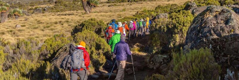Hike to Shira Plateau on Mt. Kilimanjaro Guided Full-Day Tour - Exploring the Kilimanjaro Shira Plateau: What’s in Store
