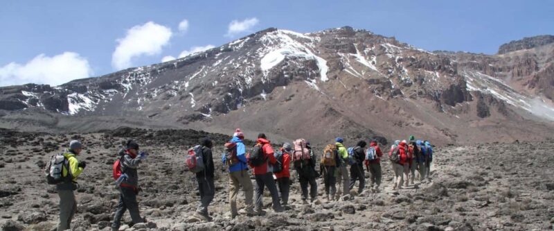 Hike to Shira Plateau on Mt. Kilimanjaro Guided Full-Day Tour - Practicalities and Considerations