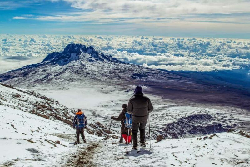 Hike to Shira Plateau on Mt. Kilimanjaro Guided Full-Day Tour - FAQ: Your Practical Questions Answered