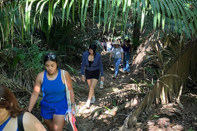 Hike to Sunset on a hidden beach - An Authentic Adventure in Sayulita