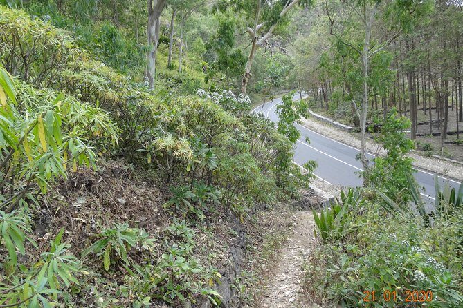 Hike Tour - Authenticity and Local Insights