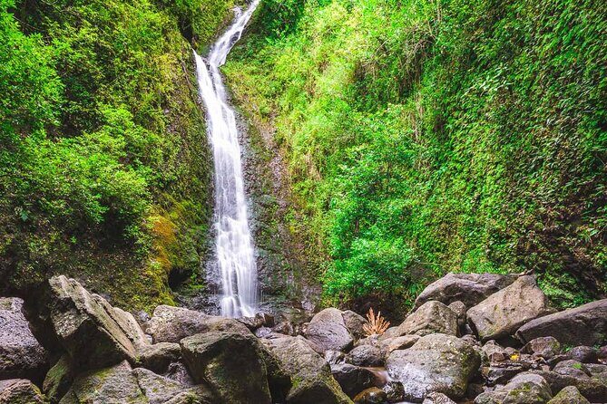 Hike Trail to Waterfall & Nature Walk - The Experience: Real Insights from Travelers
