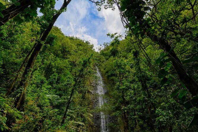 Hike Trail to Waterfall & Nature Walk - Analyzing the Value