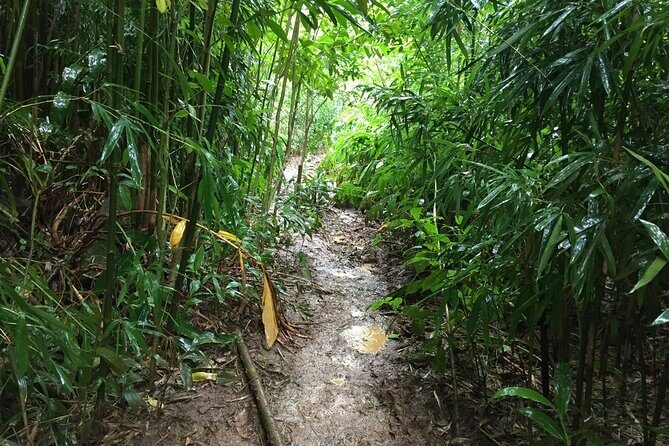 Hike Trail to Waterfall & Nature Walk - Who Should Consider This Tour?