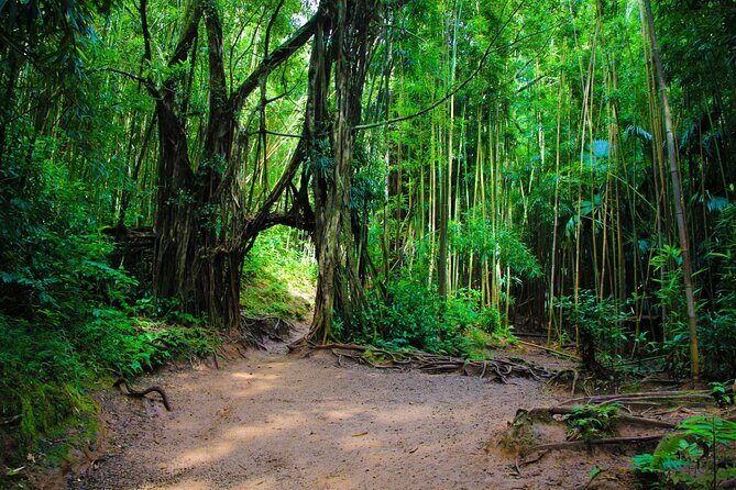 Hike Trail to Waterfall & Nature Walk - The Sum Up