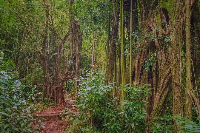 Hike Trail to Waterfall & Nature Walk - FAQ