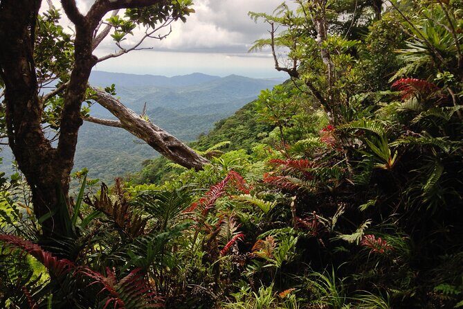 Hiking Adventure including Fiji's Highest Mountain and 3 Nights - An Overview of the Itinerary