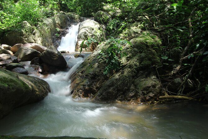 Hiking Adventure: River Trails & Waterfall Wonders - An In-Depth Look at the Tour