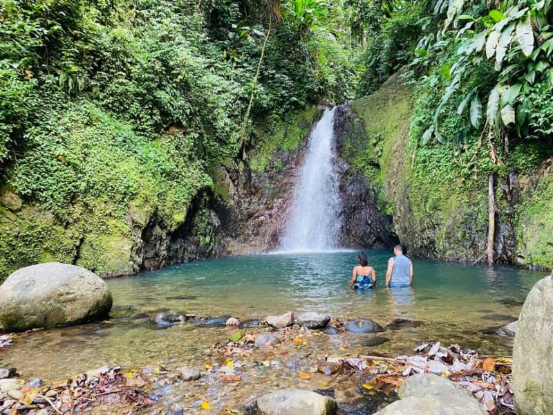 Hiking Adventure - An Authentic Grenada Rainforest Experience