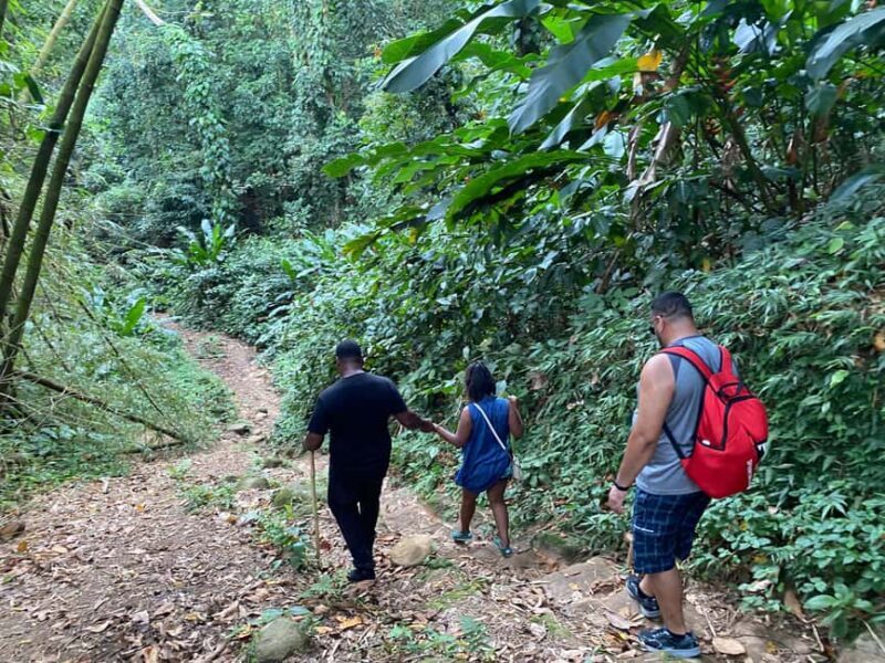 Hiking Adventure - The Hike: Rugged Trails & Majestic Waterfalls