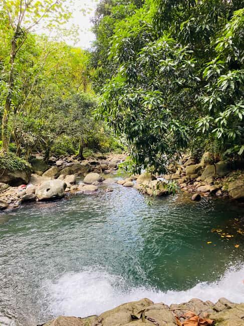 Hiking Adventure - The Guide: Knowledgeable and Friendly