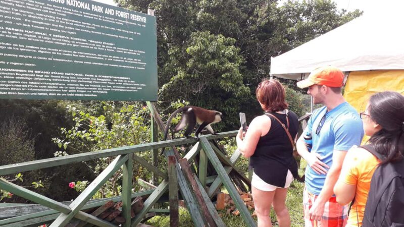 Hiking Adventure Through Grand E'tang RainForest - Key Points