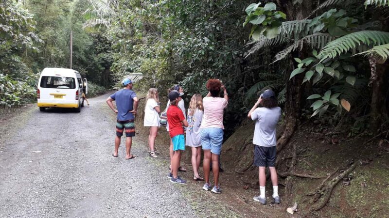 Hiking Adventure Through Grand E'tang RainForest - Who Will Love This Tour?