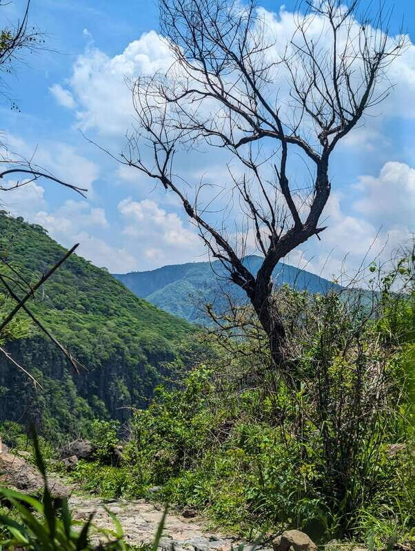 Hiking Adventure to a Secret Swimming Spot - Overall Value
