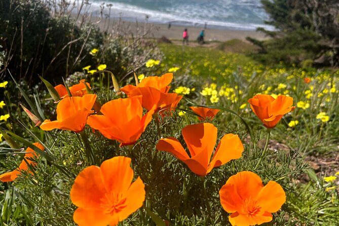 Hiking along Pacifica State Beach Coastline - Who Is This Tour Best For?