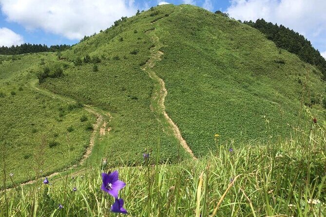 Hiking and a Temple Retreat in the Mountains of Hiroshima - What Travelers Are Saying (Based on Reviews)