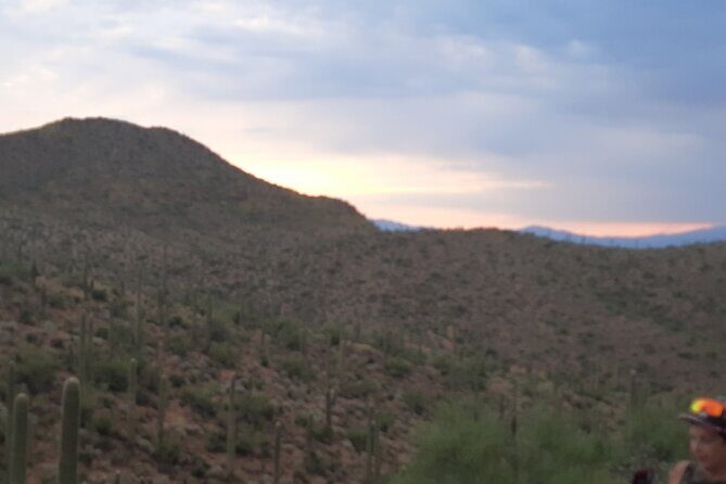Hiking at Starr Pass and Tucson Mountains - The Itinerary: What to Expect from Your Tucson Desert Trek