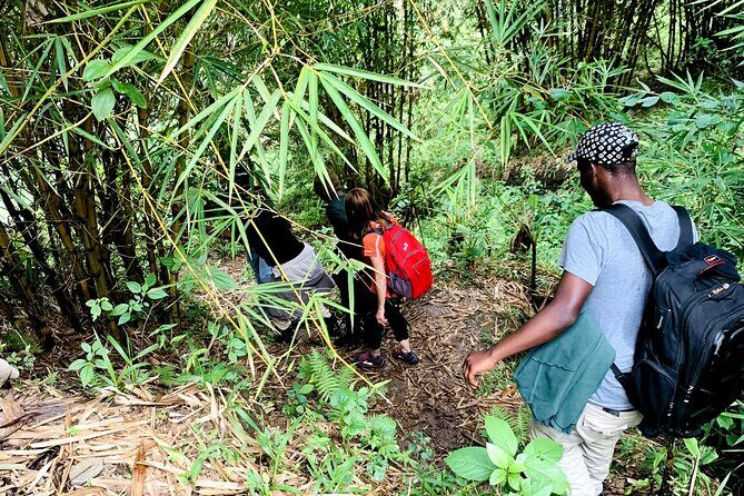 Hiking Binana Mountain & Waterfalls in Rwanda - Key Points