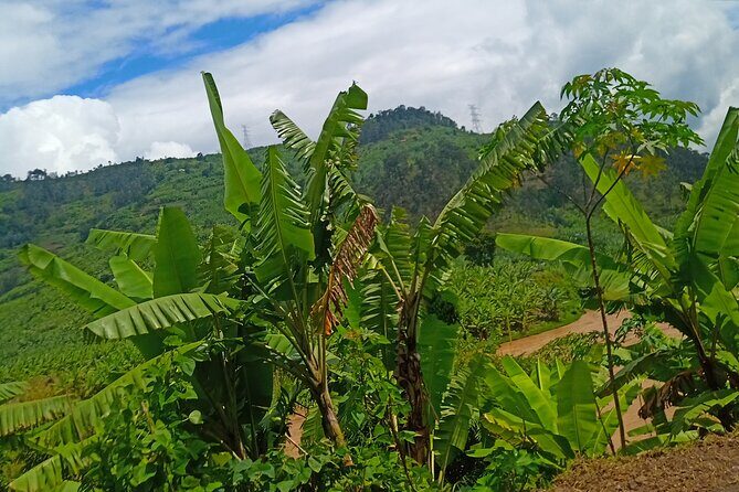 Hiking Binana Mountain & Waterfalls in Rwanda - An In-Depth Look at the Experience