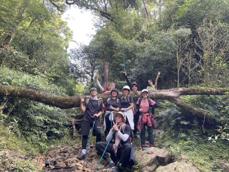 Hiking Fansipan 2D1N - Explore The Majestic Nature - The Sum Up