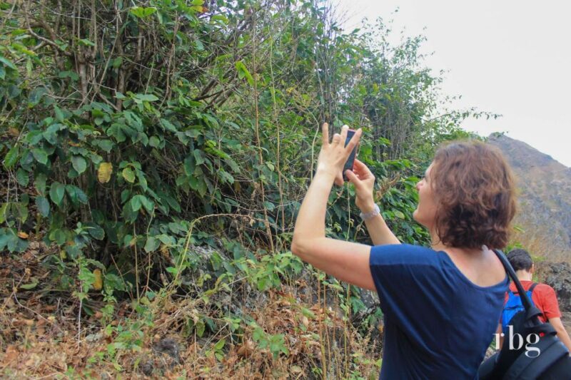 Hiking: From Serra Malagueta to Rabelados Community - An In-Depth Look at the Experience