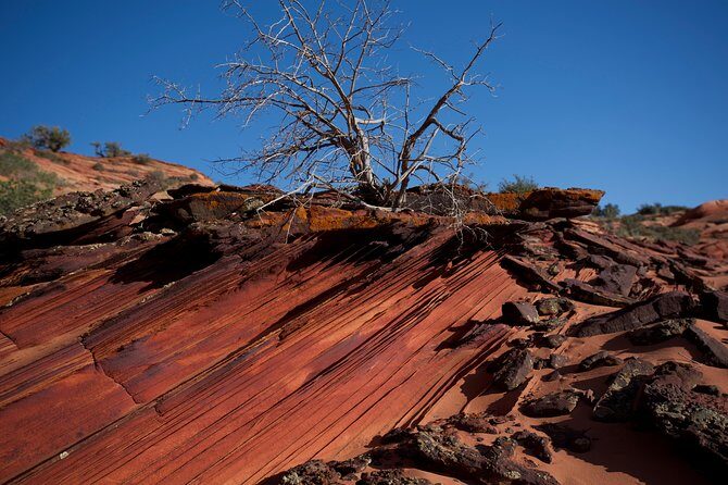 Hiking in Kanab: Walk and Photograph the incredible Wire Pass Slot Canyon! - Unpacking the Experience: What to Expect from the Tour