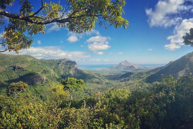 Hiking in the Black River Gorges National Parc - Native Forest - What’s Included & What’s Not