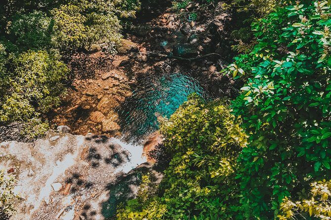 Hiking in the Black River Gorges National Parc - Native Forest - The Sum Up