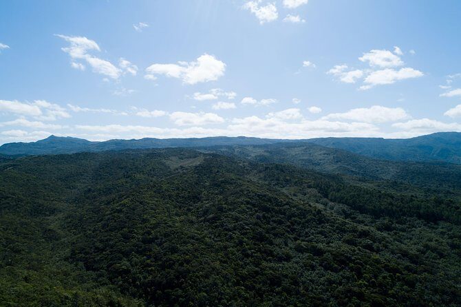 Hiking in the Black River Gorges National Parc - Native Forest - FAQ