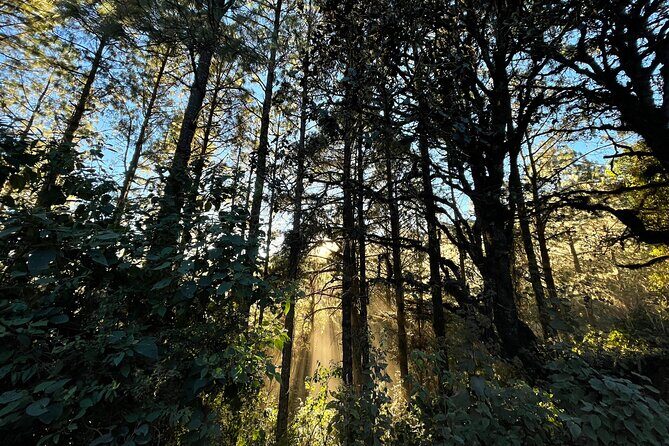 Hiking in the Sierra Norte of Oaxaca - What Makes This Tour Stand Out