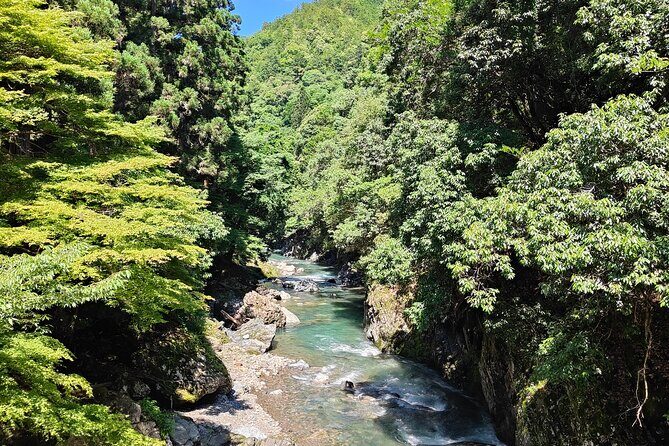 Hiking Kyoto's Highest Mountain: Unravel the Mystery of Mt. Atago - Why the Hike to Mt. Atago Matters