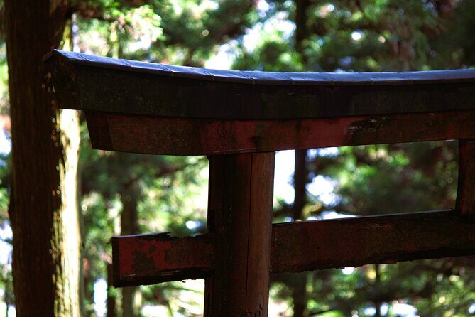 Hiking Kyoto's Highest Mountain: Unravel the Mystery of Mt. Atago - Exploring the Trail Highlights