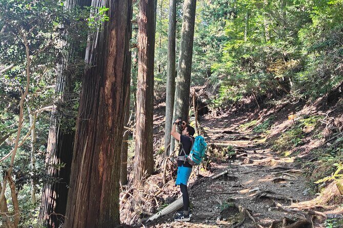 Hiking Kyoto's Highest Mountain: Unravel the Mystery of Mt. Atago - FAQ