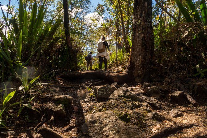 Hiking: La Chapelle, Cilaos. - Exploring La Chapelle in Cilaos: A Guided Hiking Experience on Réunion Island