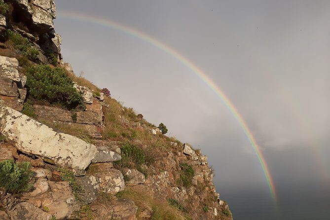 Hiking Lion's Head for sunrise, coffee & hotel Pick-up & Drop off - Who Should Consider This Tour?