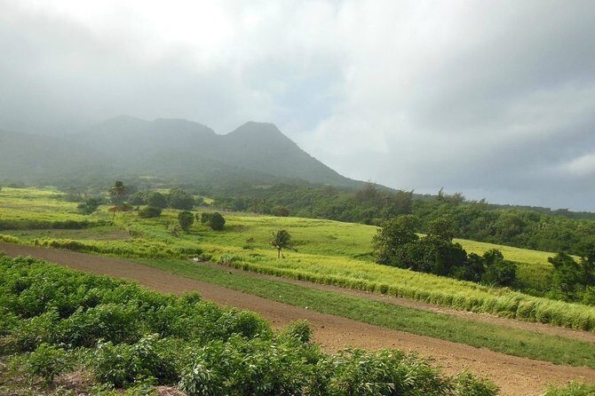 Hiking Mount Liamuiga Volcano in St Kitts - The Trek Begins: Rainforest and Cloud Forest
