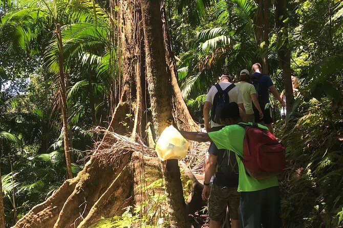 Hiking Mount Liamuiga Volcano in St Kitts - Refreshments and Rest Stops
