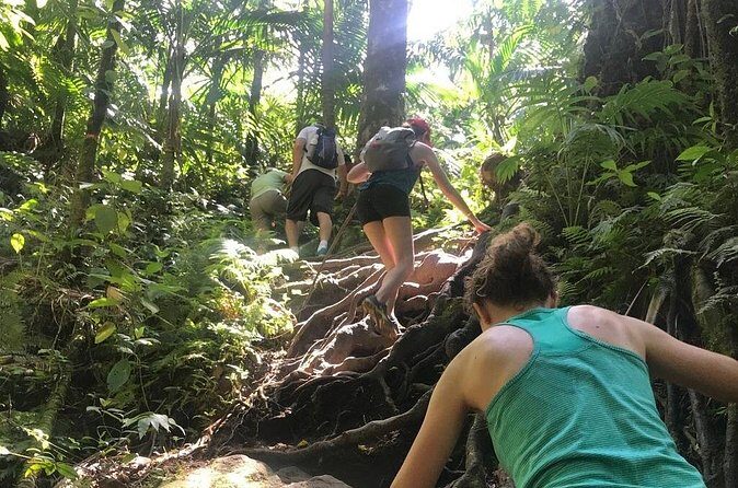 Hiking Mount Liamuiga Volcano in St Kitts - What Our Reviewers Say