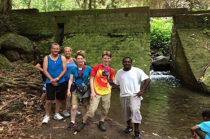 Hiking Mount Liamuiga Volcano in St Kitts - The Value Proposition