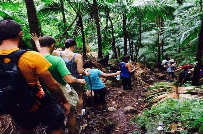 Hiking Mount Liamuiga Volcano in St Kitts - Who Is This Tour Best For?