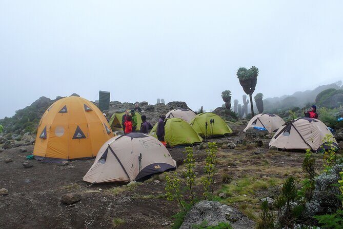 Hiking Mt Kilimanjaro 7 days scenic route & moderate challenge - Final thoughts