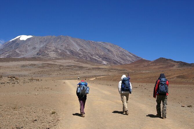 Hiking Mt Kilimanjaro 8 days, the most scenic route up Kili - Reviews and Authentic Perspectives