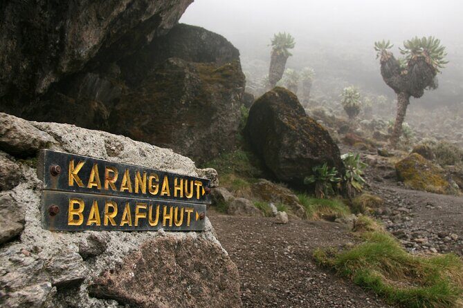 Hiking Mt Kilimanjaro 8 days, the most scenic route up Kili - The Sum Up