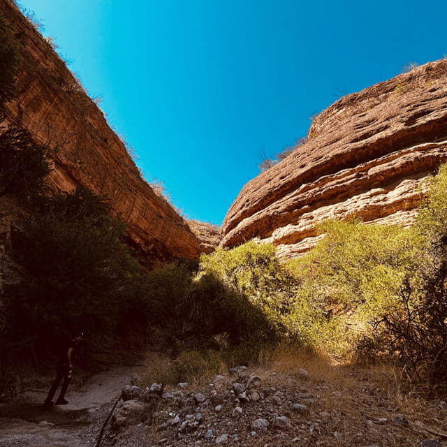 Hiking Ruta del Novillo: explore Sonora's natural surroundings. - Exploring the natural wonders