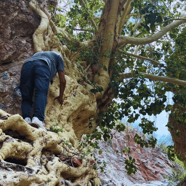Hiking Ruta del Novillo: explore Sonora's natural surroundings. - Practical details and value