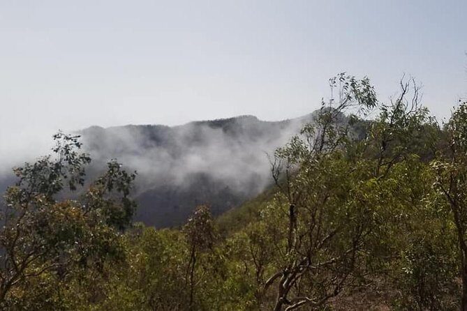 Hiking Serra Malagueta Natural Park - The Sum Up
