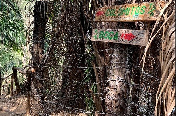 Hiking & Snorkeling to Mexico's Smallest Paradise Colomitos Beach - Who Will Love This Tour?